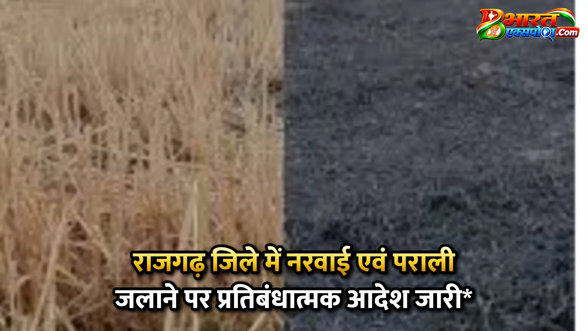 राजगढ़ जिले में नरवाई एवं पराली जलाने पर प्रतिबंधात्मक आदेश जारी*